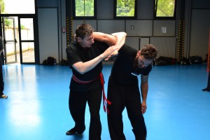 hunggarnancy-artsmartiaux-wushu-kungfu-ericbourbonnais-18juin2016-31    